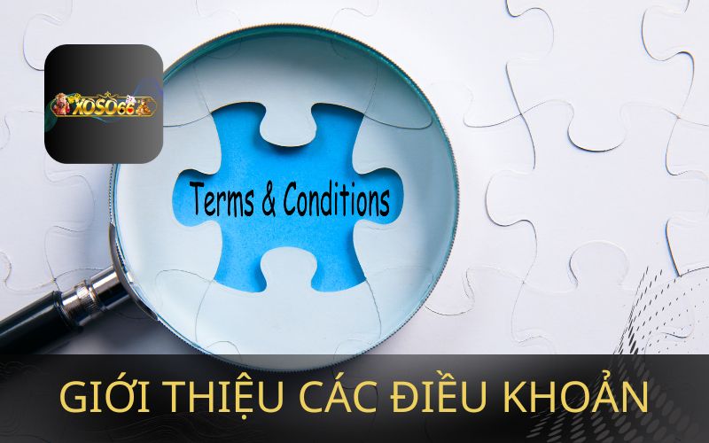 GIỚI THIỆU VỀ ĐIỀU KHOẢN TRÊN XOSO66