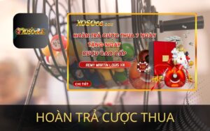 HOÀN TRẢ CƯỢC THUA NHẬN QUÀ KHỦNG TỪ XOSO66